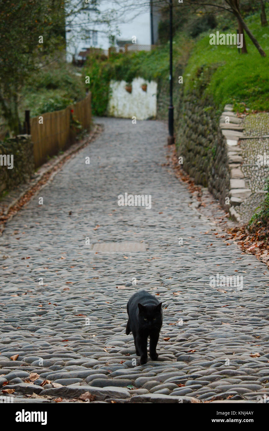 Crossing paths with a black cat on a cobbled lane. Stock Photo