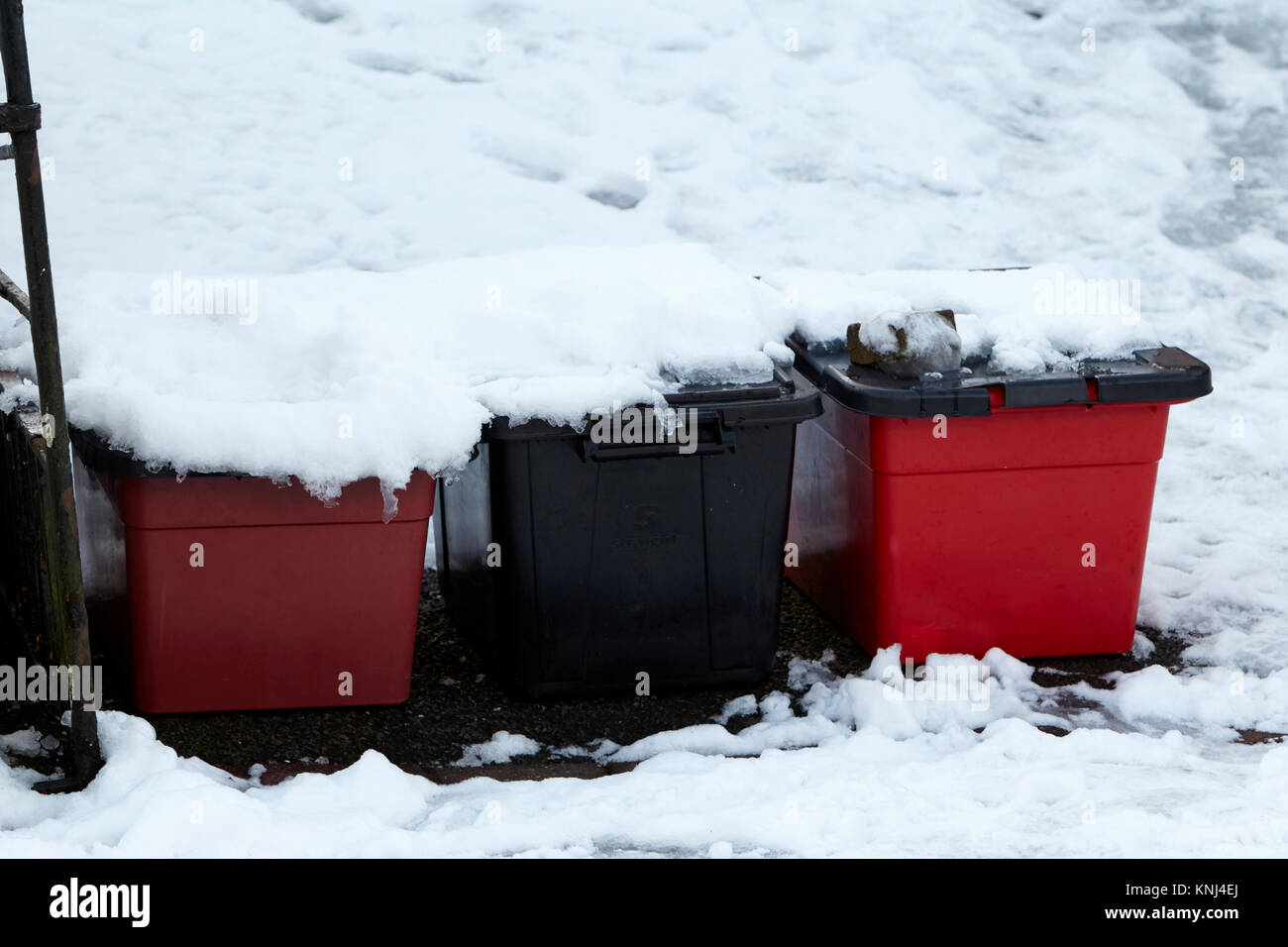 uncollected kerbside recycle bins covered in snow newtownabbey northern ireland uk Stock Photo