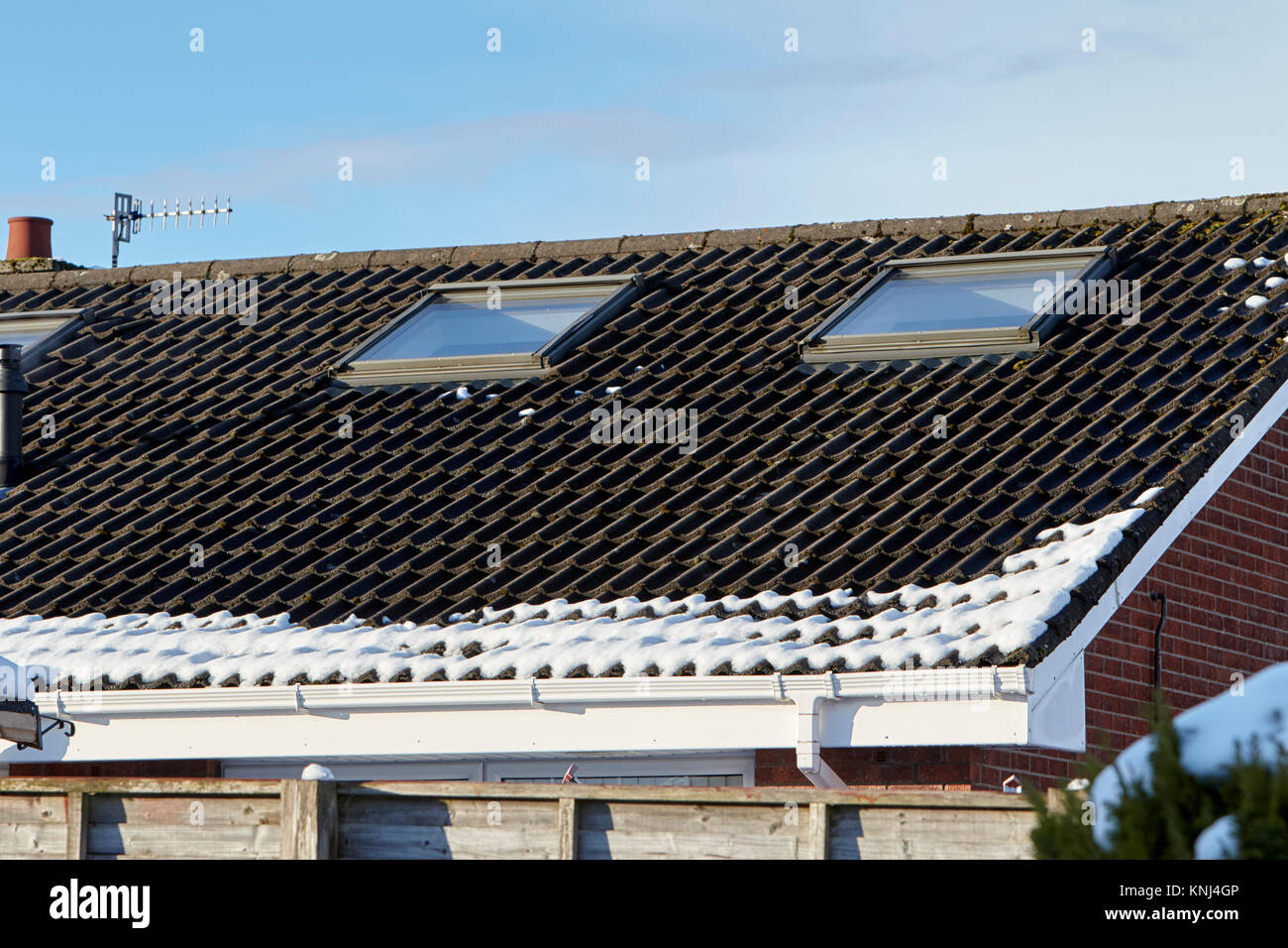 snow melted from an uninsulated tile roof of a house newtownabbey northern ireland uk Stock Photo