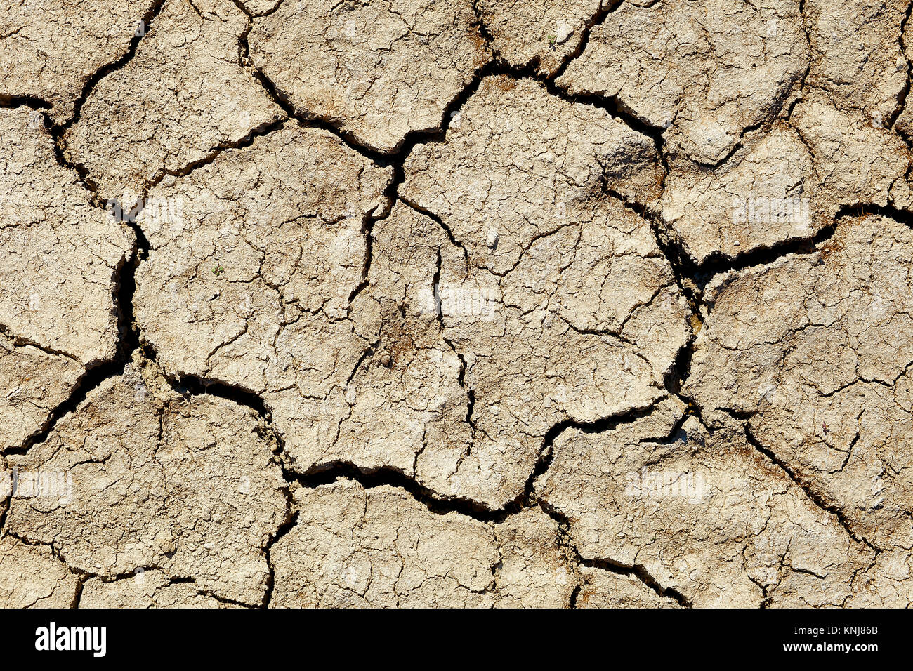 texture of the crackled clay in the desert Stock Photo Alamy