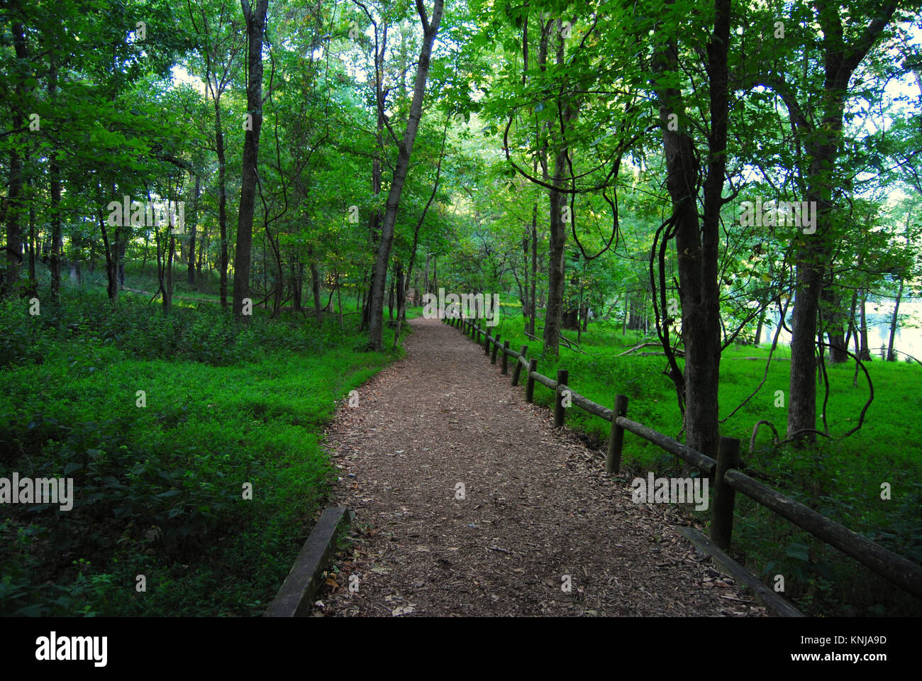 Walking Path Along Radnor Lake Near Nashville TN Stock Photo Alamy Walking path along radnor lake near nashville tn stock photo alamy