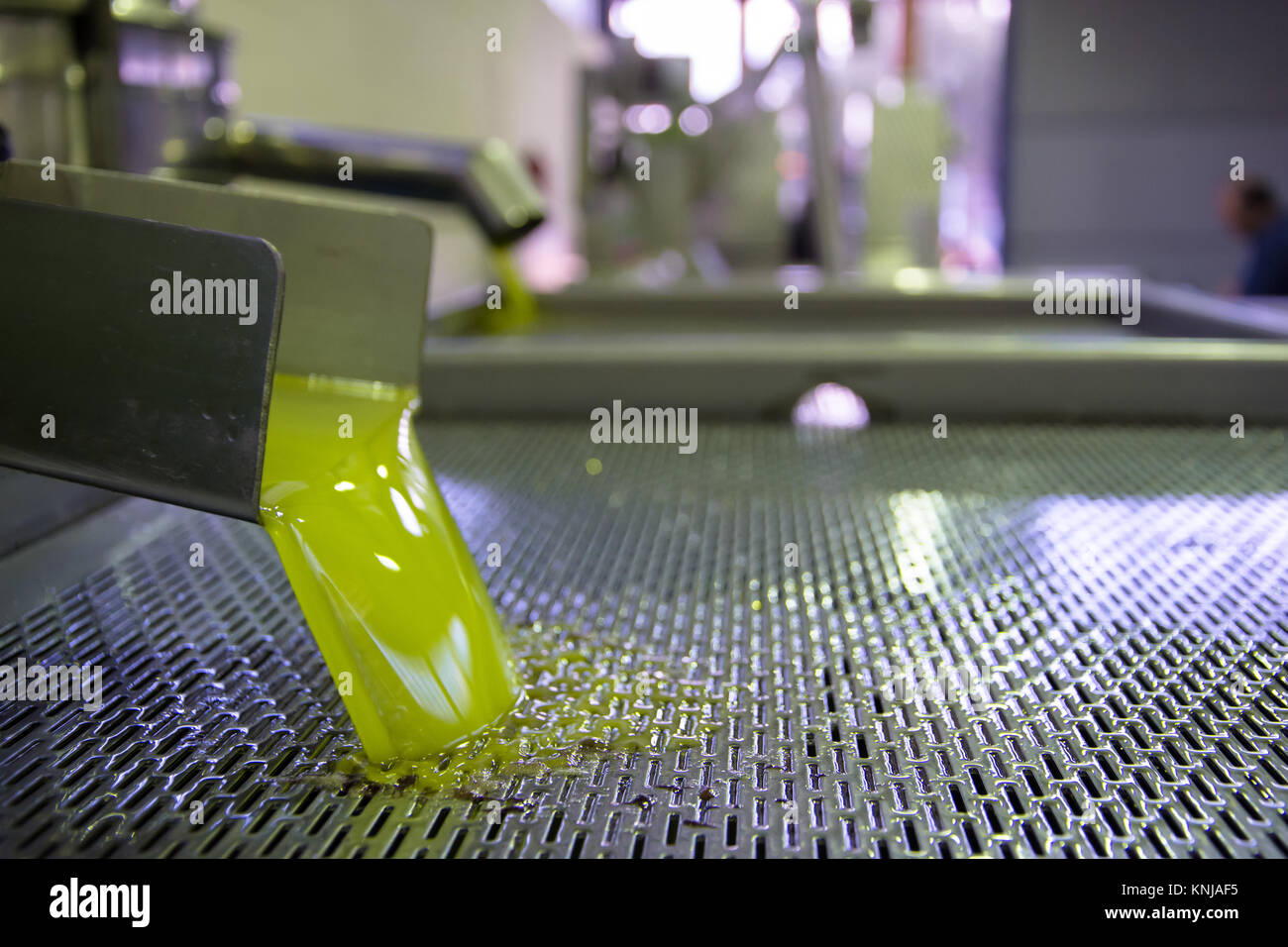 Fresh virgin olive oil pouring into tank at a cold-press factory after the olive harvesting, Crete, Greece. Stock Photo