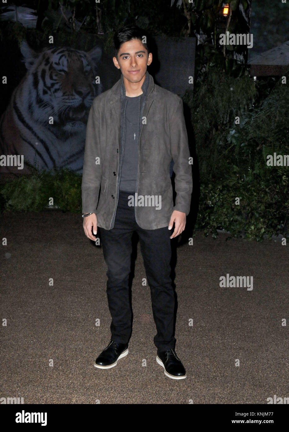 Hollywood, USA. 11th Dec, 2017. Actor Karan Brar attends the premiere