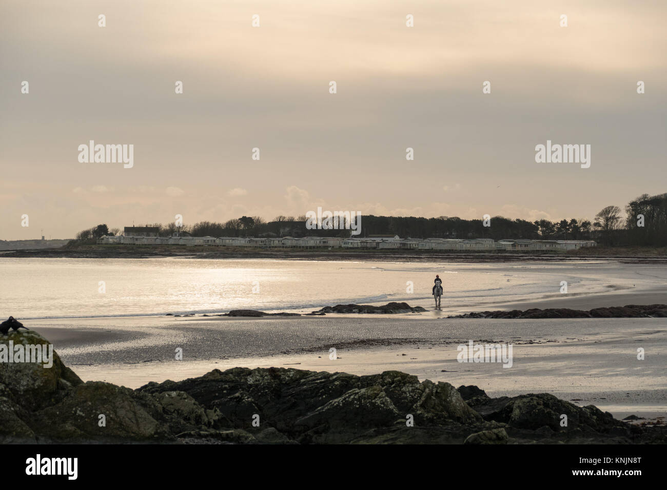 Ballywalter, Co Down, N Ireland, UK. 12th Dec, 2017. Weather news. A n early frost gives way to very calm conditions this morning in Ballywalter, Northern Ireland.copyright Credit: gary telford/Alamy Live News Stock Photo
