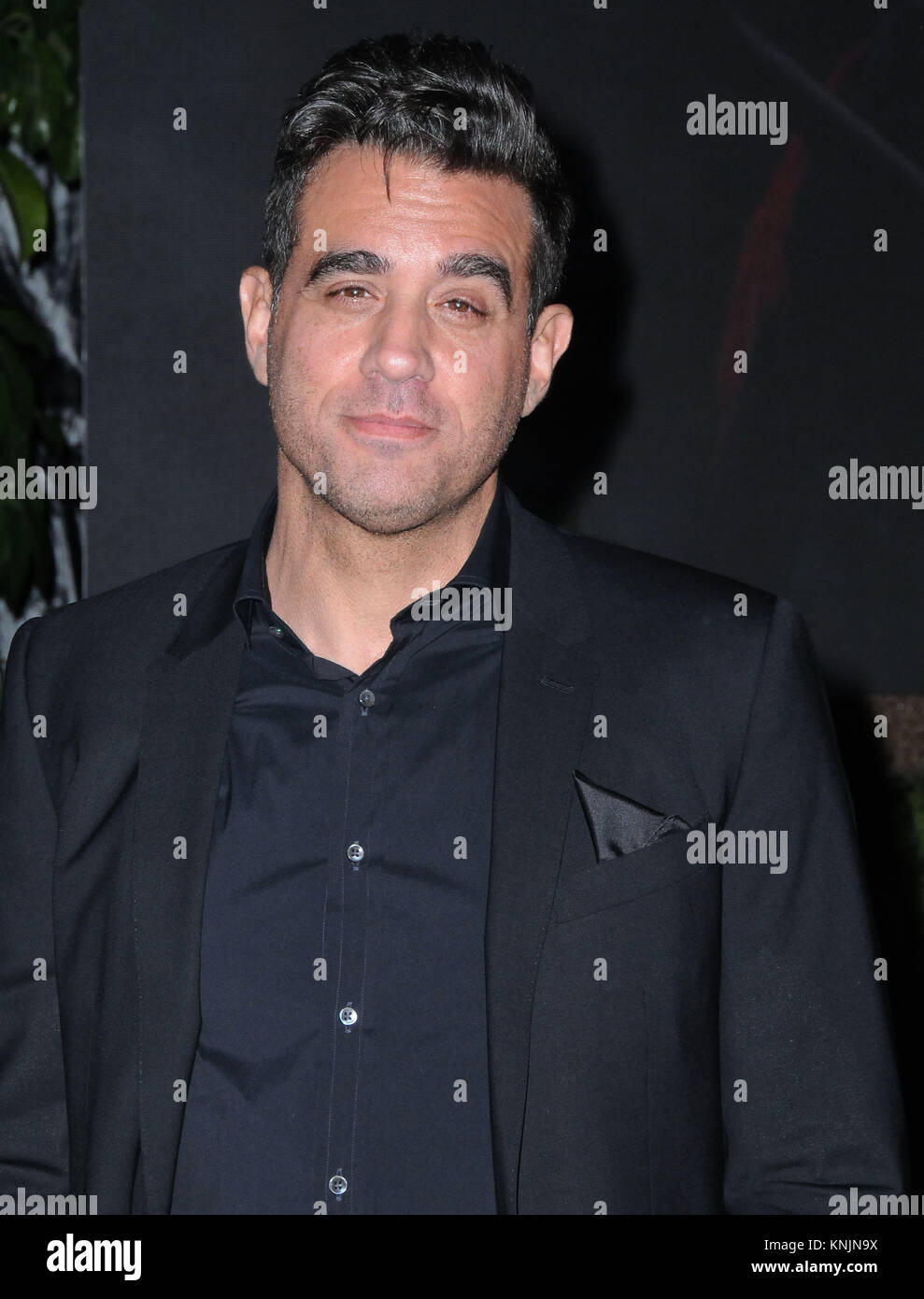 Hollywood, USA. 11th Dec, 2017. Actor Bobby Cannavale attends the