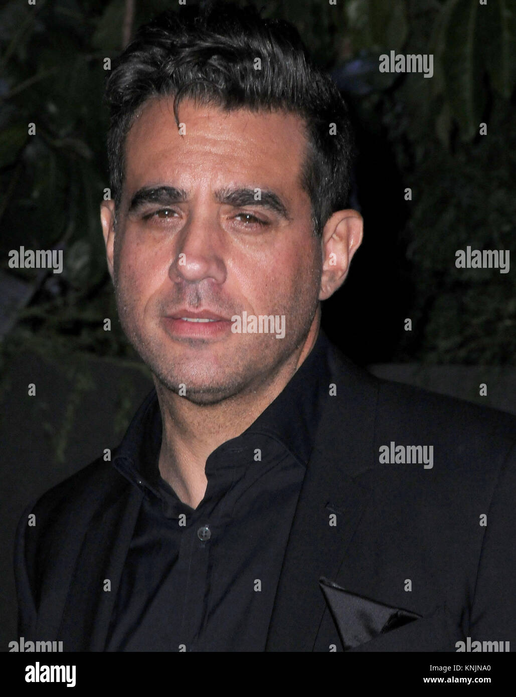 Hollywood, USA. 11th Dec, 2017. Actor Bobby Cannavale attends the