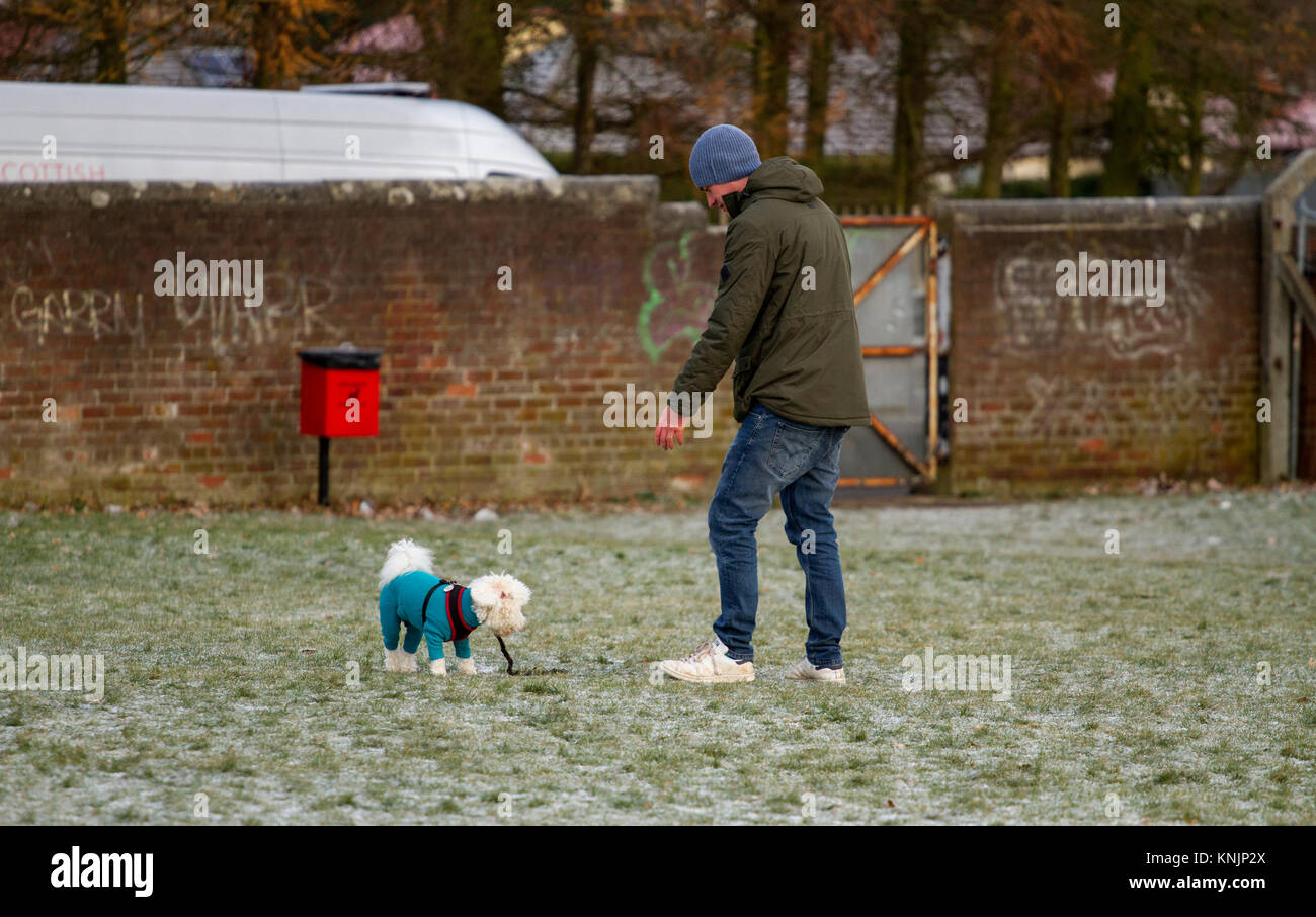 Dundee, UK. 12th December, 2017. UK Weather: While most of Britain has had snow blizzards, Tayside has cold frosty weather with hazy sunshine with temperatures below freezing (-1°C). Dog walkers braving the cold conditions taking their dogs for a walk around a local park in Dundee. Credits: Dundee Photographics/Alamy Live News Stock Photo