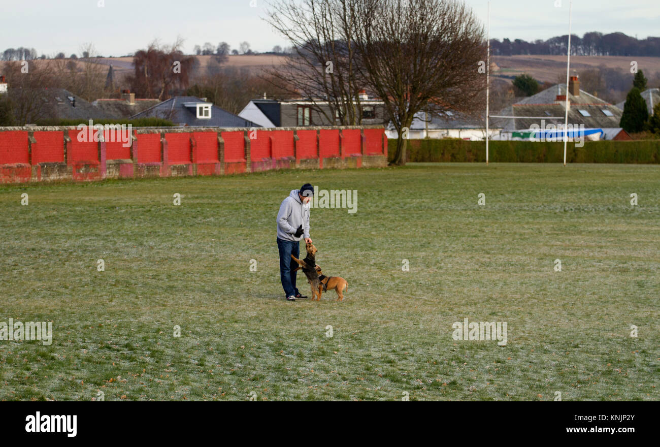 Dundee, UK. 12th December, 2017. UK Weather: While most of Britain has had snow blizzards, Tayside has cold frosty weather with hazy sunshine with temperatures below freezing (-1°C). Dog walkers braving the cold conditions taking their dogs for a walk around a local park in Dundee. Credits: Dundee Photographics/Alamy Live News Stock Photo