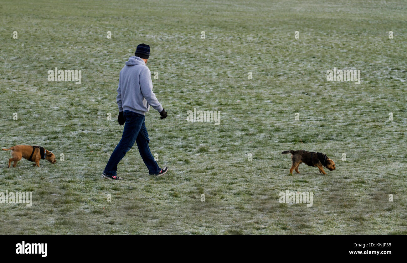 Dundee, UK. 12th December, 2017. UK Weather: While most of Britain has had snow blizzards, Tayside has cold frosty weather with hazy sunshine with temperatures below freezing (-1°C). Dog walkers braving the cold conditions taking their dogs for a walk around a local park in Dundee. Credits: Dundee Photographics/Alamy Live News Stock Photo