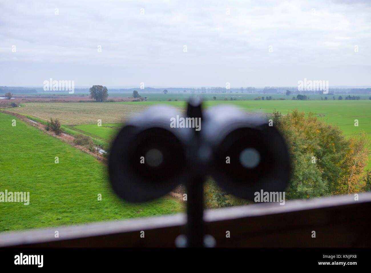 Goerlsdorf, Germany. 26th Oct, 2017. A pair of binoculars can be seen atop the observational 'Crane Tower' near Goerlsdorf, Germany, 26 October 2017. Credit: Andreas Franke/dpa-Zentralbild/dpa/Alamy Live News Stock Photo
