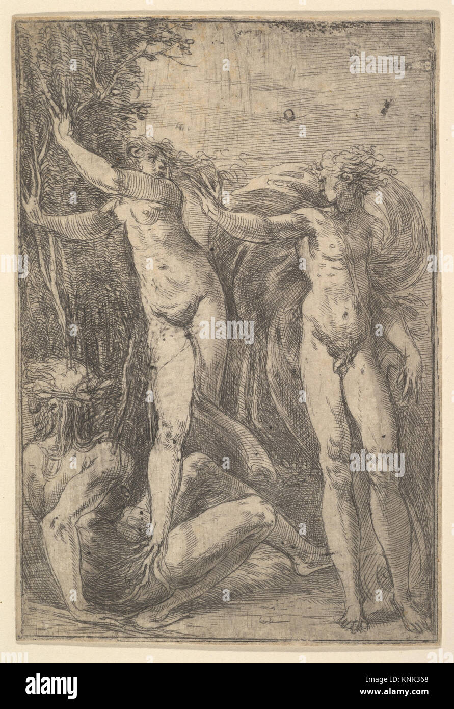 Apollo and Daphne, print by Italian Renaissance painter and etcher Andrea Schiavone (Andrea Meldola) (1510/15-1563), circa 1538-40 Stock Photo