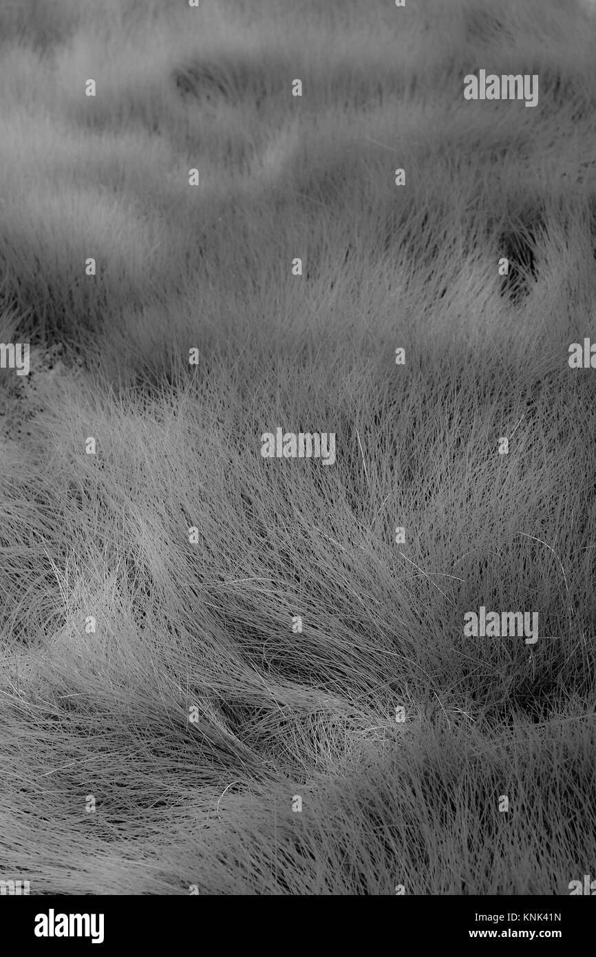 Kamchatka Peninsula Russia Stock Photo Alamy Kamchatka Peninsula Russia Stock Photo Alamy