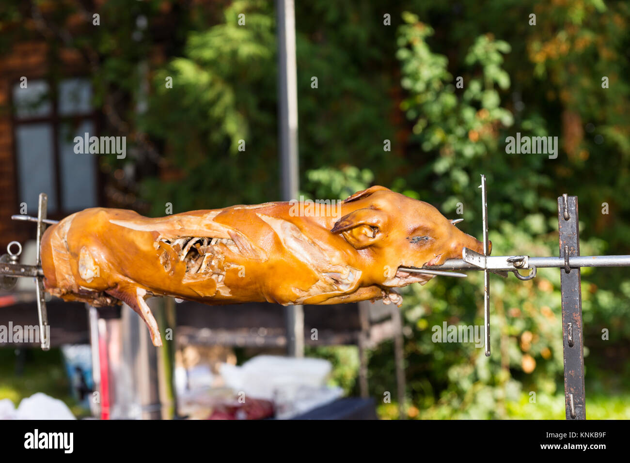 Roasted pig on a traditional spit outdoor on food festival. Food and beverages concept Stock Photo