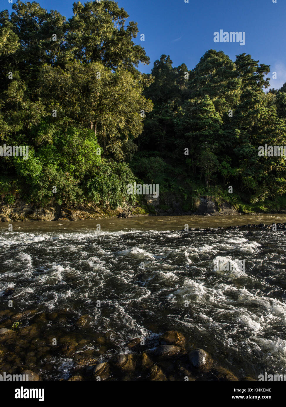 Whakapapa River confluence with Whanganui River, Kakahi, Ruapehu Distict, New Zealand Stock Photo