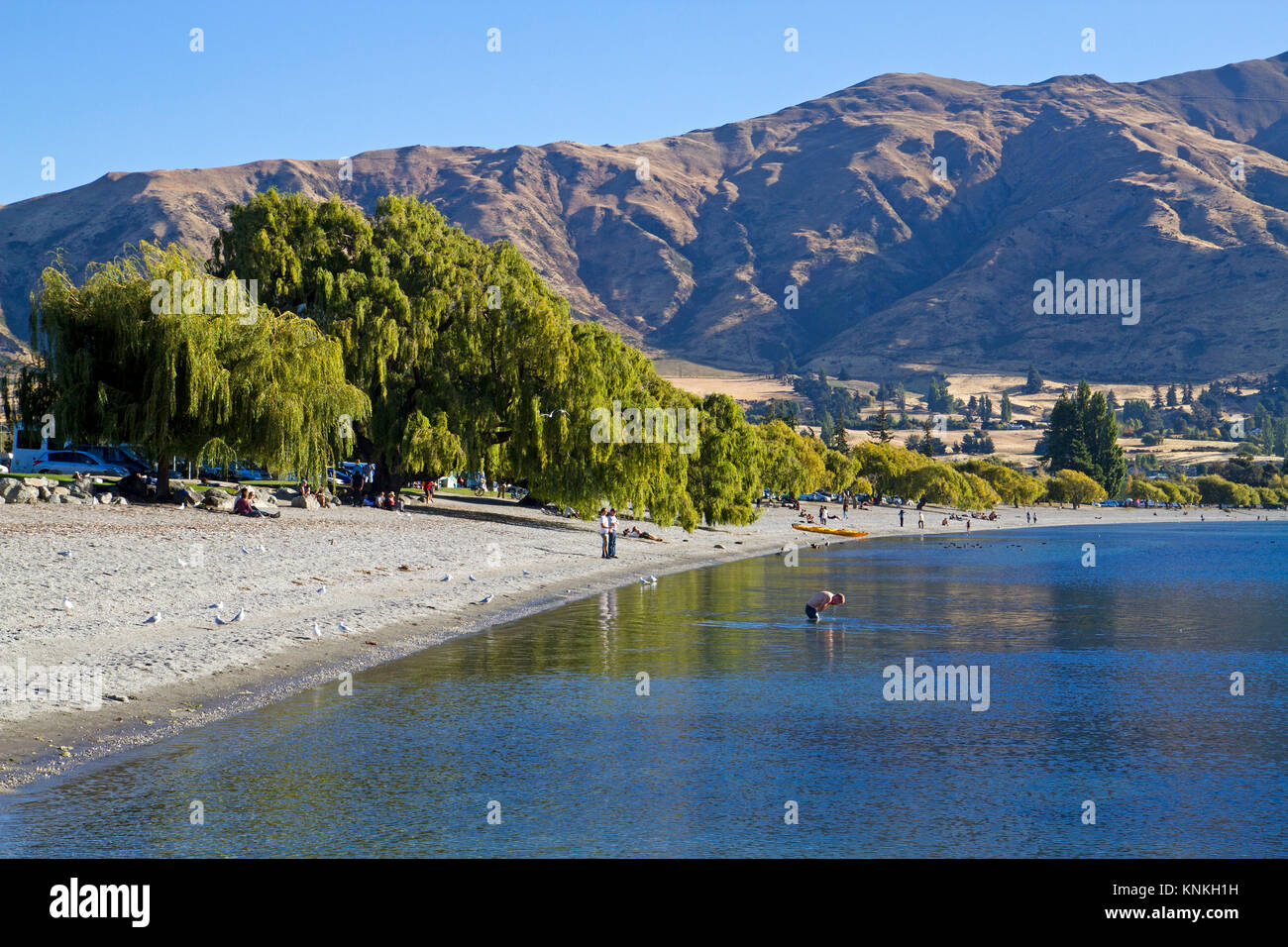 Lake Wanaka Stock Photo
