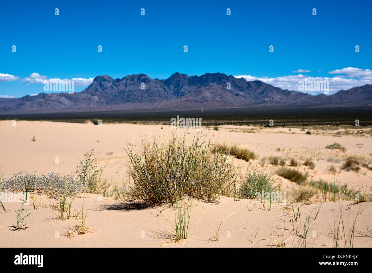 Kelso Dunes (Kelso Dune Fields), Mojave Desert National Preserve