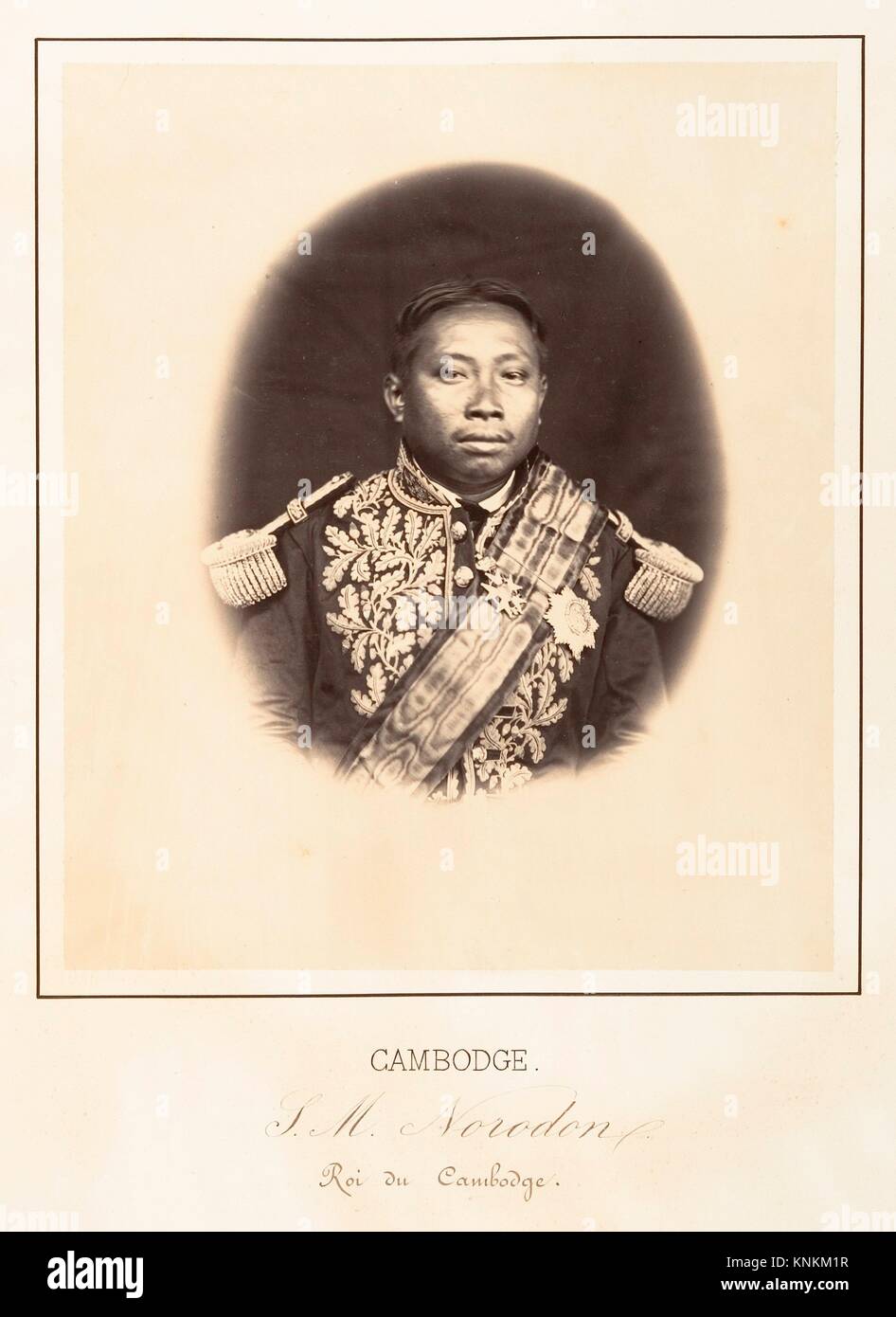 Norodon hires stock photography and images Alamy