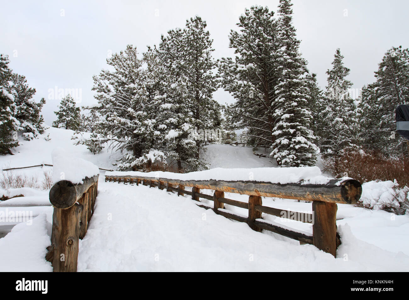 A wooden walking bridge covered in snow in winter Stock Photo - Alamy