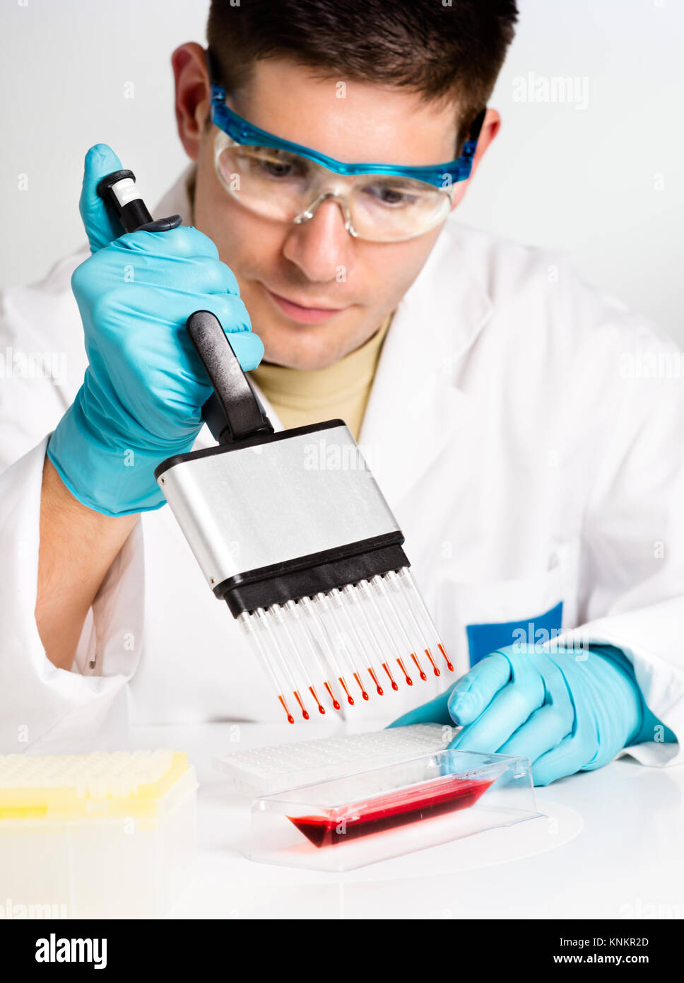 Young biologist sets PCR reaction with multichannel pipette Stock Photo