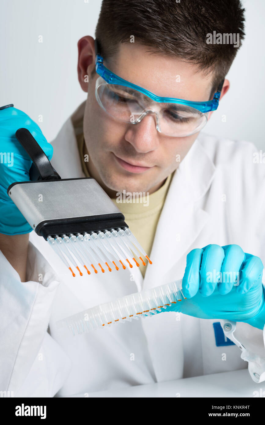 Young biologist sets PCR reaction with multichannel pipette Stock Photo