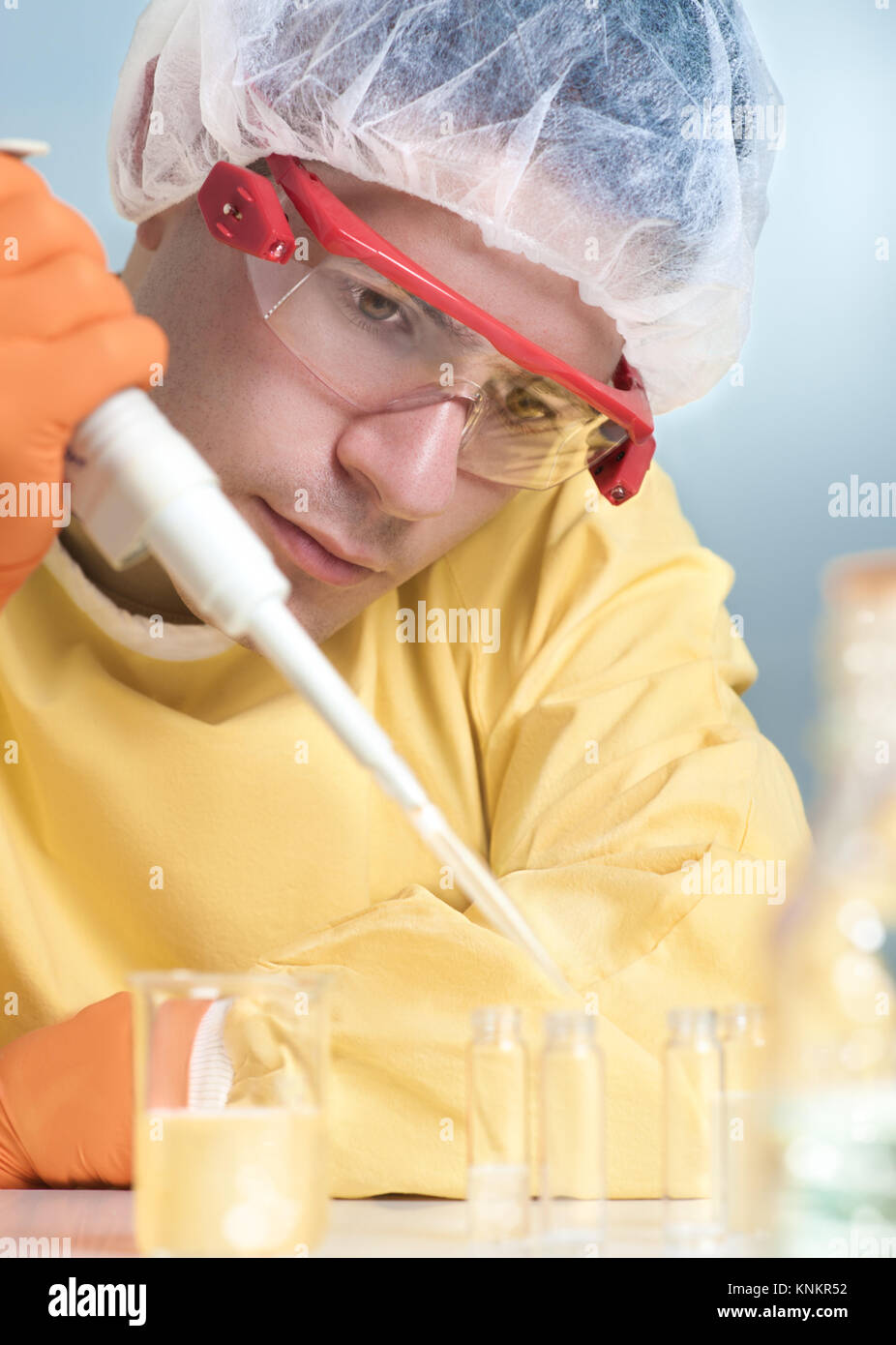 Young microbiologist works with bacterial cultures in the lab Stock Photo