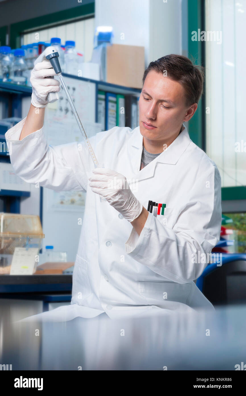 Young male scientist or a Ph.D. student in research laboratory Stock Photo