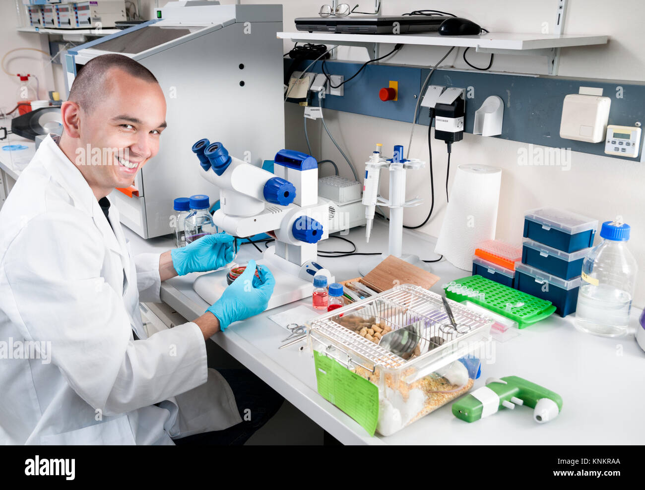 Smiling young scientist works in the lab Stock Photo