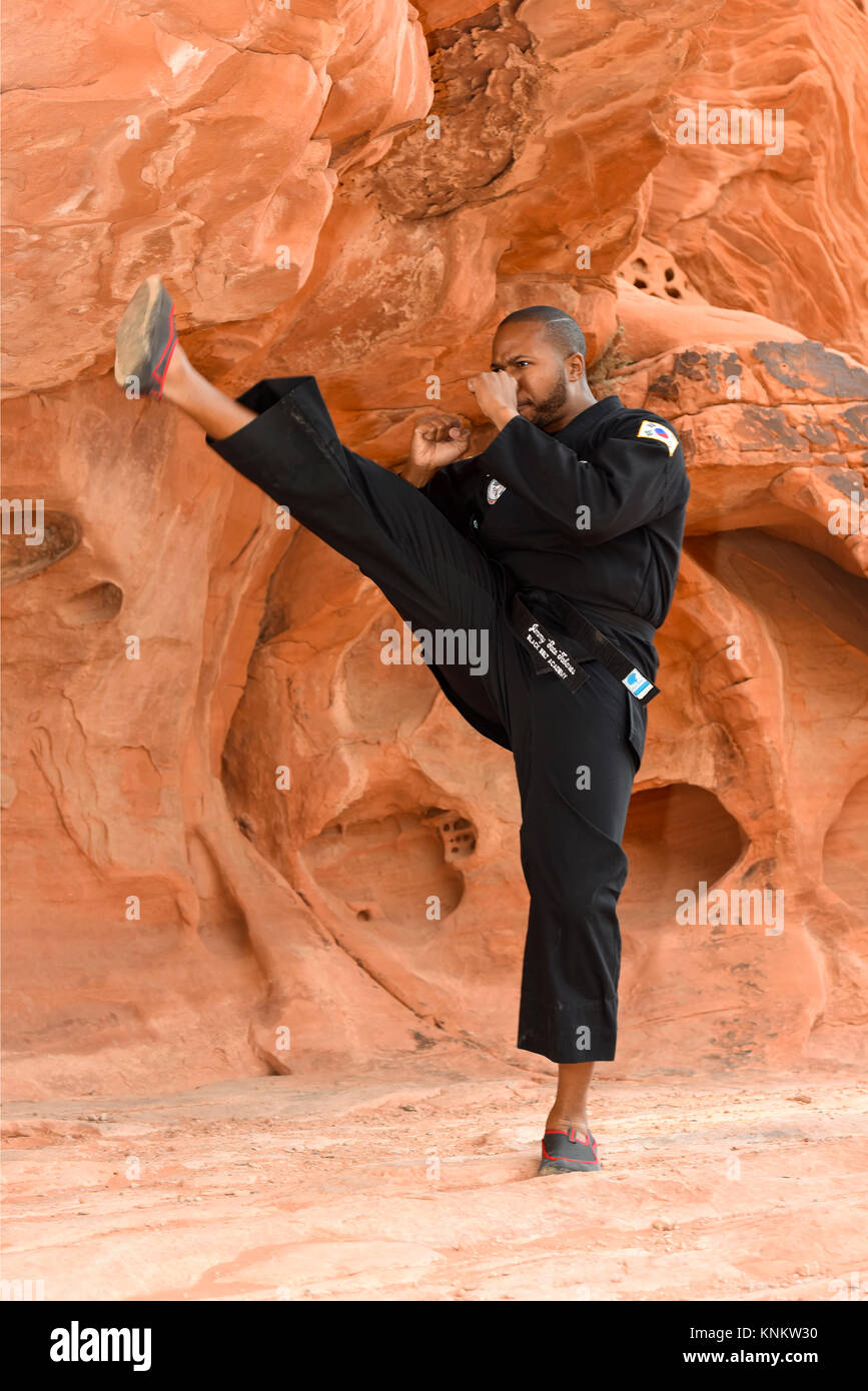 African American man practicing martial arts in the Nevada desert. Stock Photo