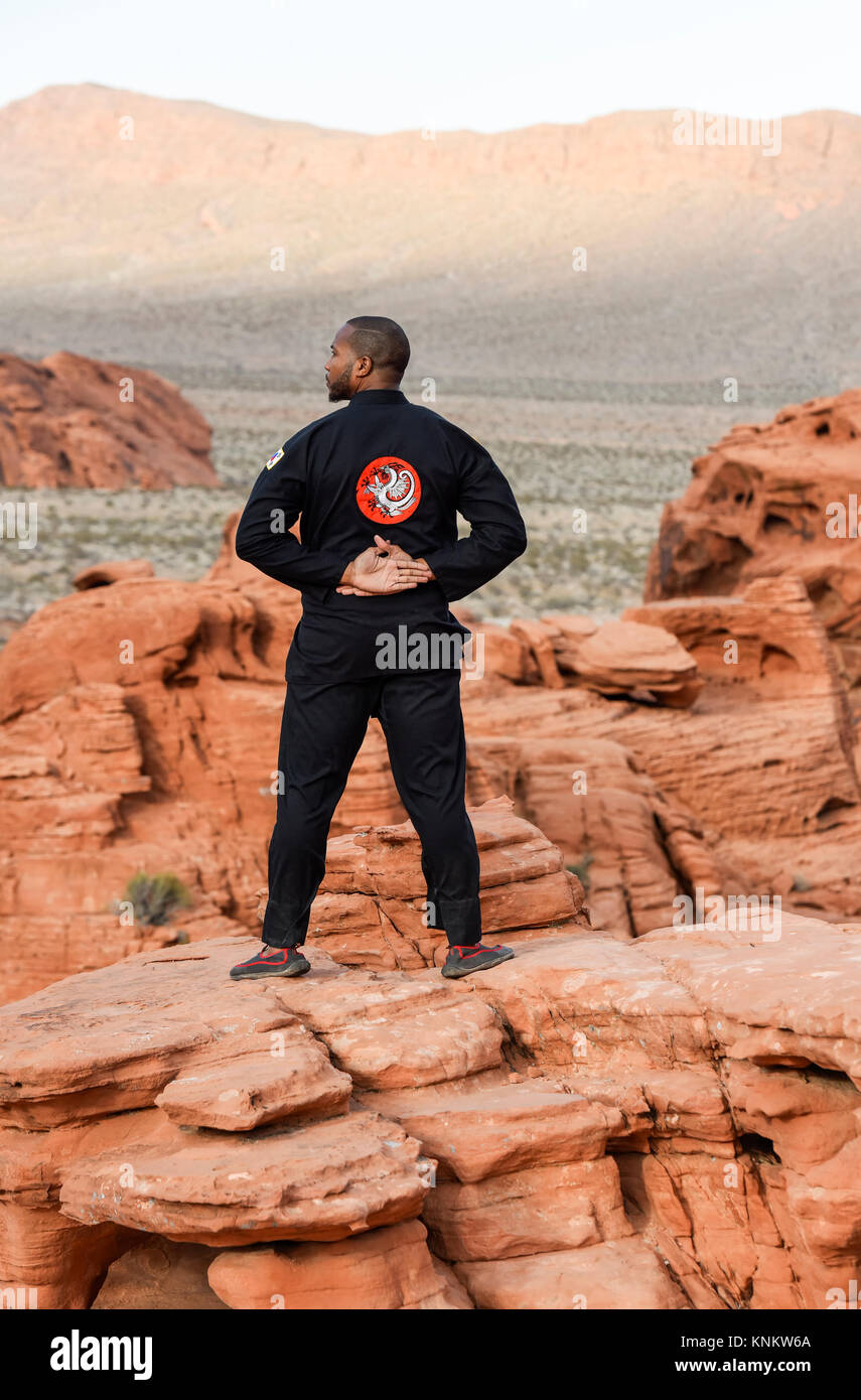 African American man practicing martial arts in the Nevada desert Stock
