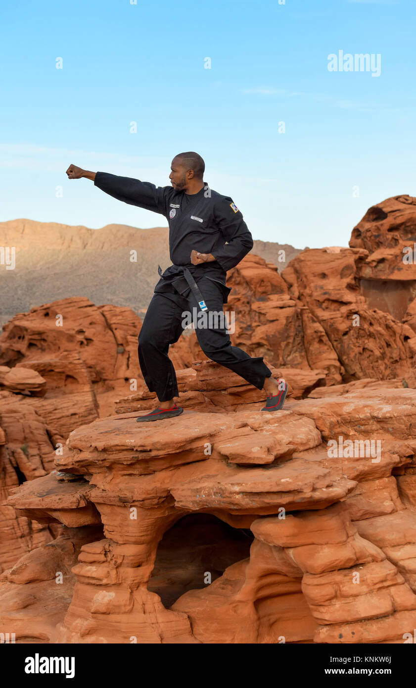 African American man practicing martial arts in the Nevada desert Stock