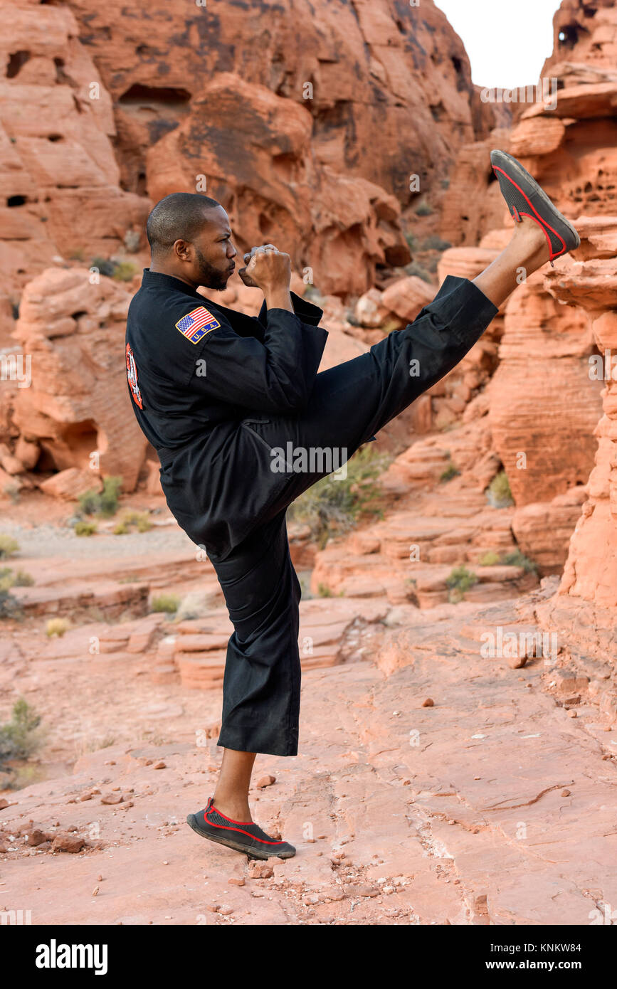African American man practicing martial arts in the Nevada desert Stock