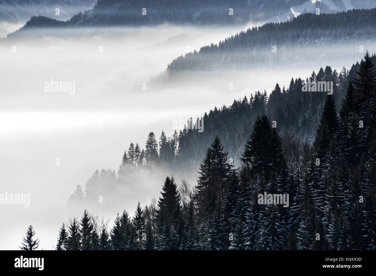 Low lying fog in background hi-res stock photography and images - Alamy
