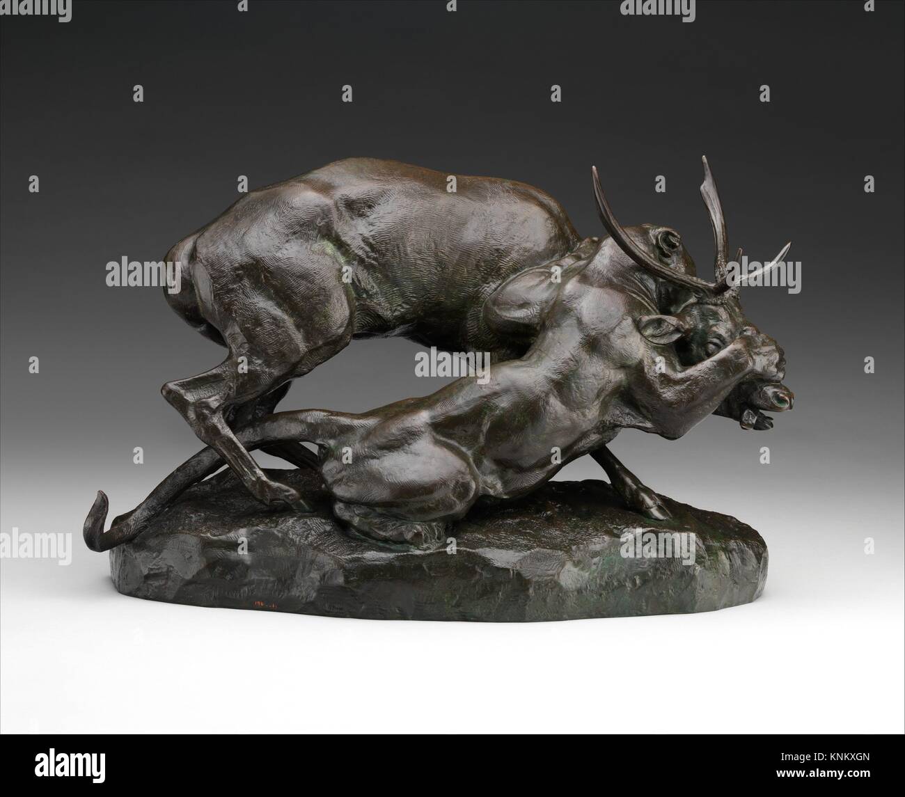 Panther Seizing a Stag. Artist: Antoine-Louis Barye (French, Paris 1796-1875 Paris); Date: modeled before 1847; Culture: French; Medium: Bronze; Stock Photo