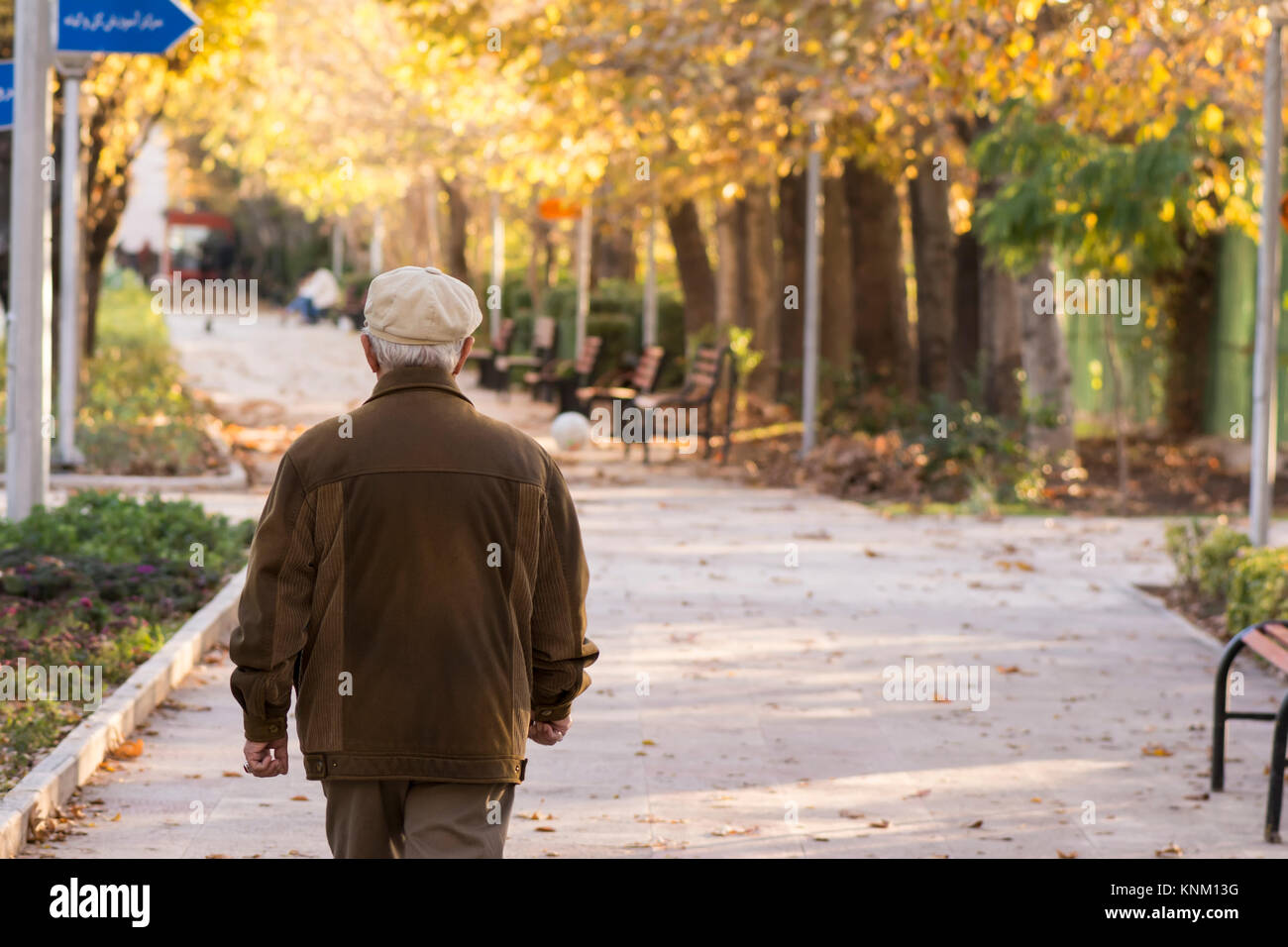 Back of man alone on park bench hi-res stock photography and images - Alamy