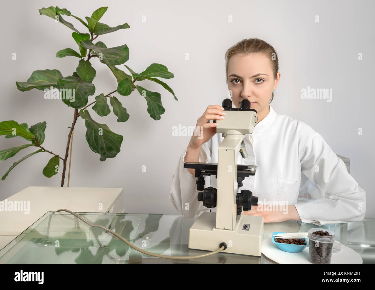 Young biologist or tech tests quality of coffee beans in research