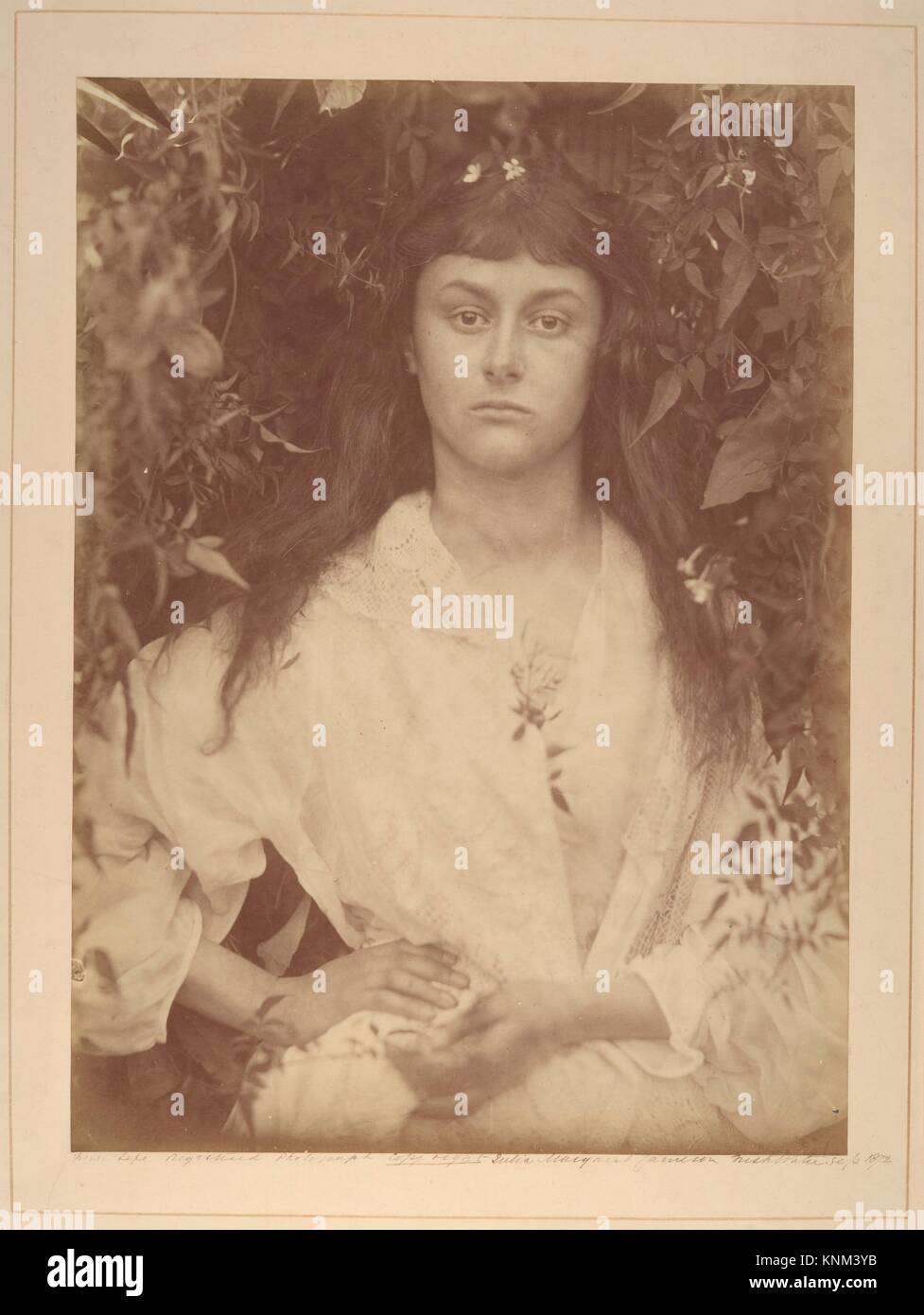 Pomona. Artist: Julia Margaret Cameron (British (born India), Calcutta 1815-1879 Kalutara, Ceylon); Date: 1872; Medium: Albumen silver print from Stock Photo
