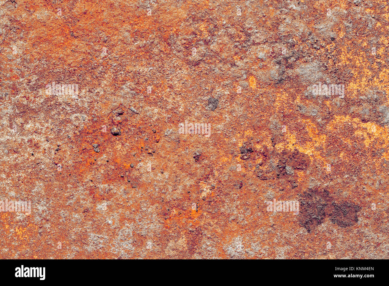 high detail corroded rusty surface with red and yellow fungus spots Stock Photo