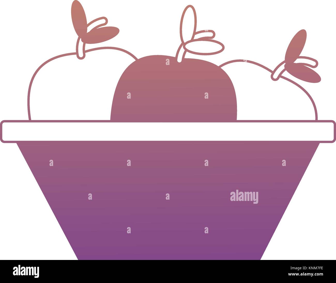 apple fruit icon image Stock Vector Image & Art - Alamy