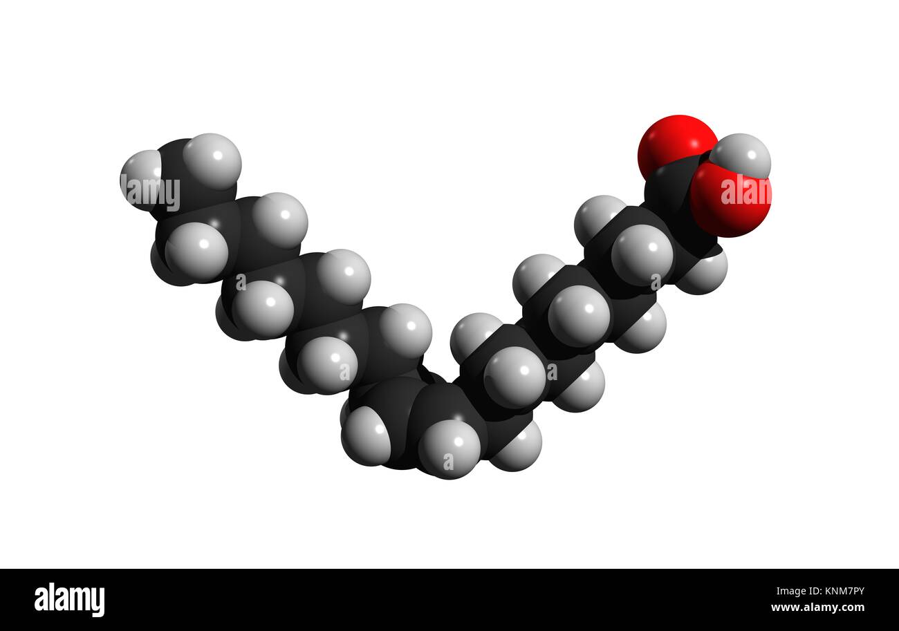 Monounsaturated fatty acids hires stock photography and images Alamy