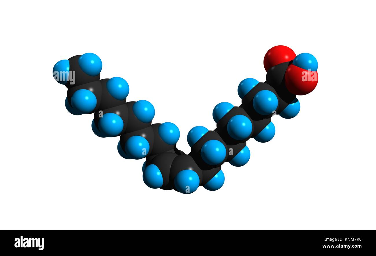 Monounsaturated fatty acids hires stock photography and images Alamy