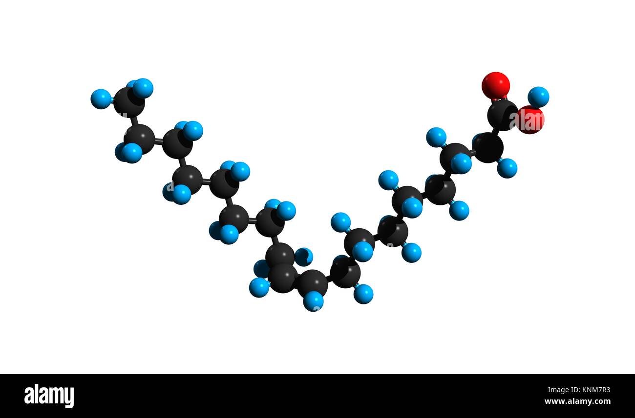 Monounsaturated omega 9 fatty acid Cut Out Stock Images & Pictures Alamy