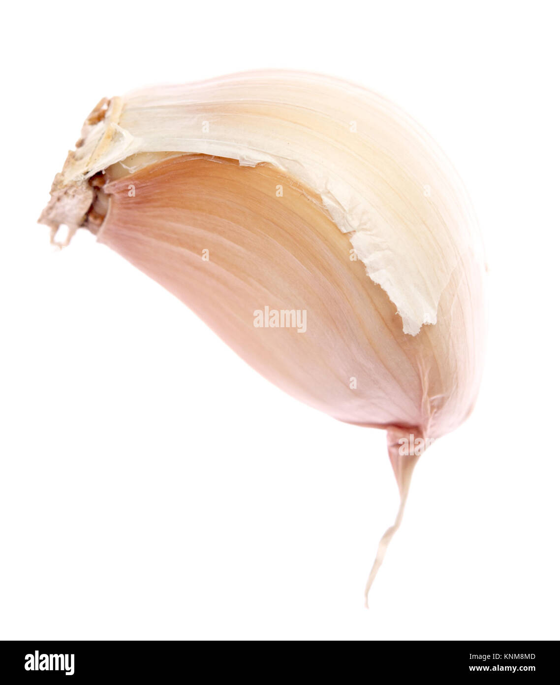 garlic clove isolated on white background Stock Photo - Alamy