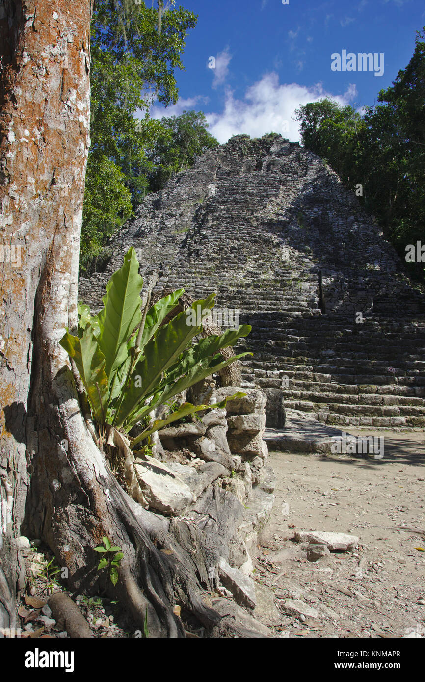 Cobá, Pyramid La Iglesia, Quintana Roo, Mexico Stock Photo