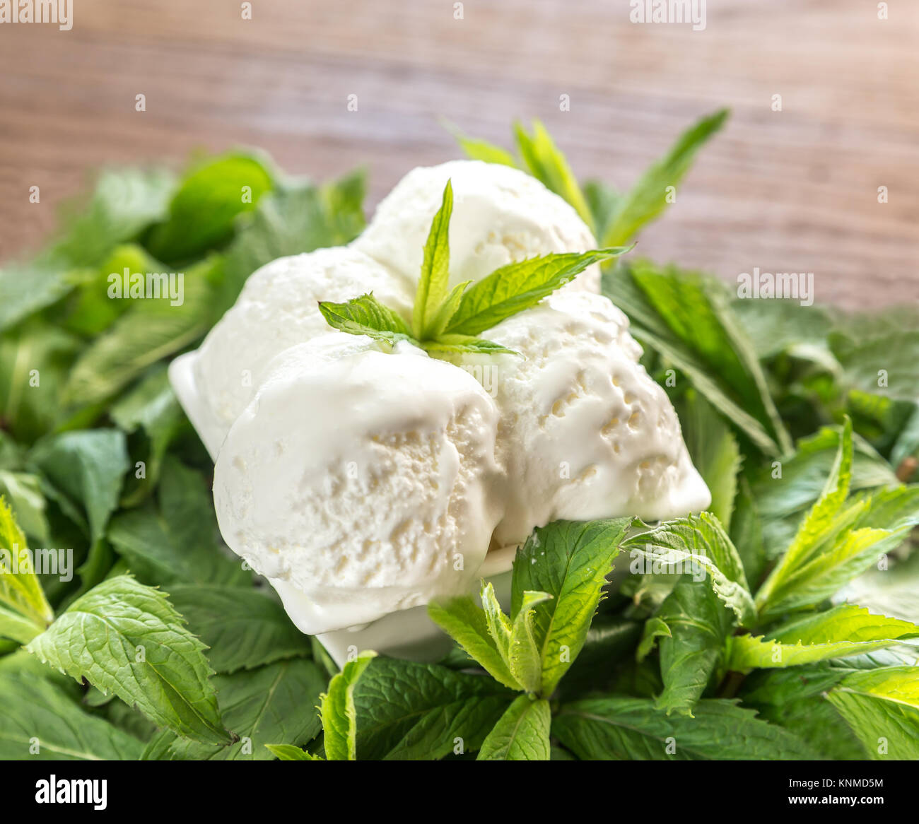Vanilla ice cream in mint Stock Photo Alamy