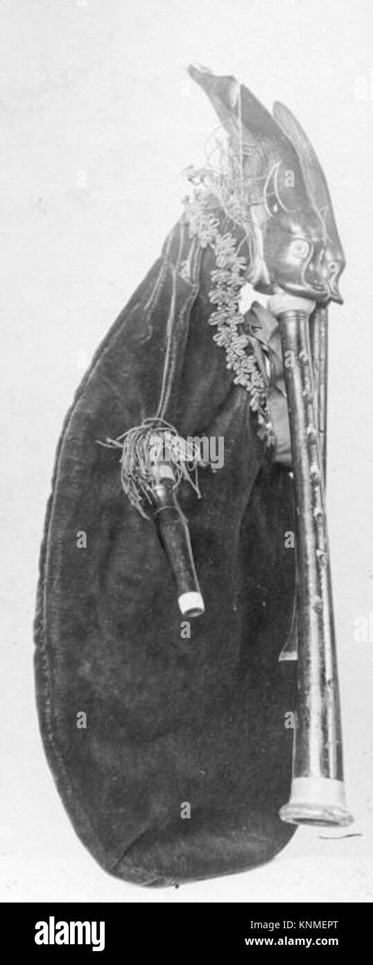 ‘Gaillard’ Musette, Maker: Possibly by P. Gaillard, 19th century, Geography: France, French, Medium: leather, horn, ivory, wood. Stock Photo