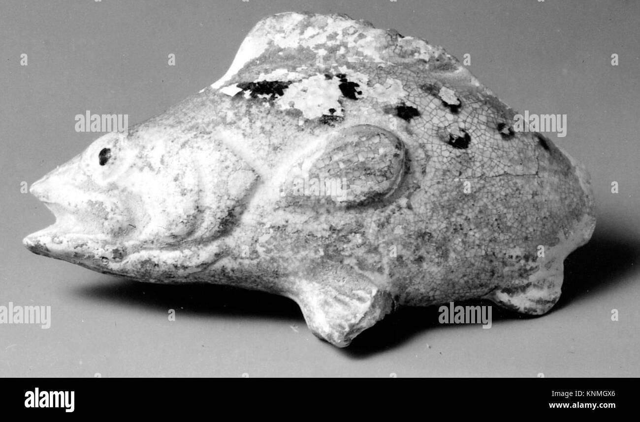 An illustration of a fish specimen, showing anatomical details and ...