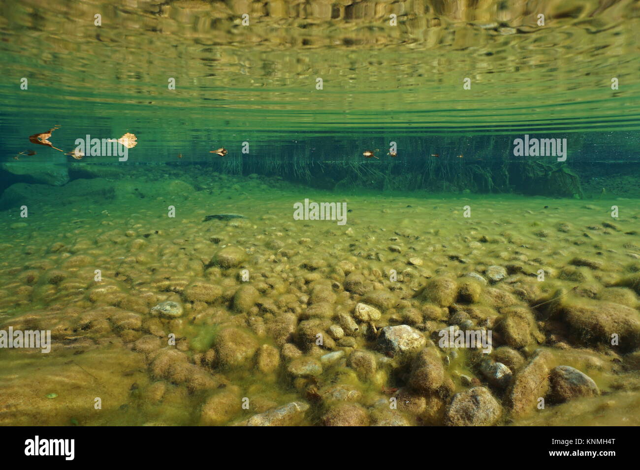River underwater hi-res stock photography and images - Alamy