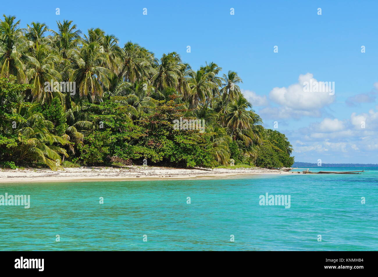 Tropical island sea shore with lush vegetation, Bastimentos national marine park, Bocas del Toro, Panama, Central America Stock Photo