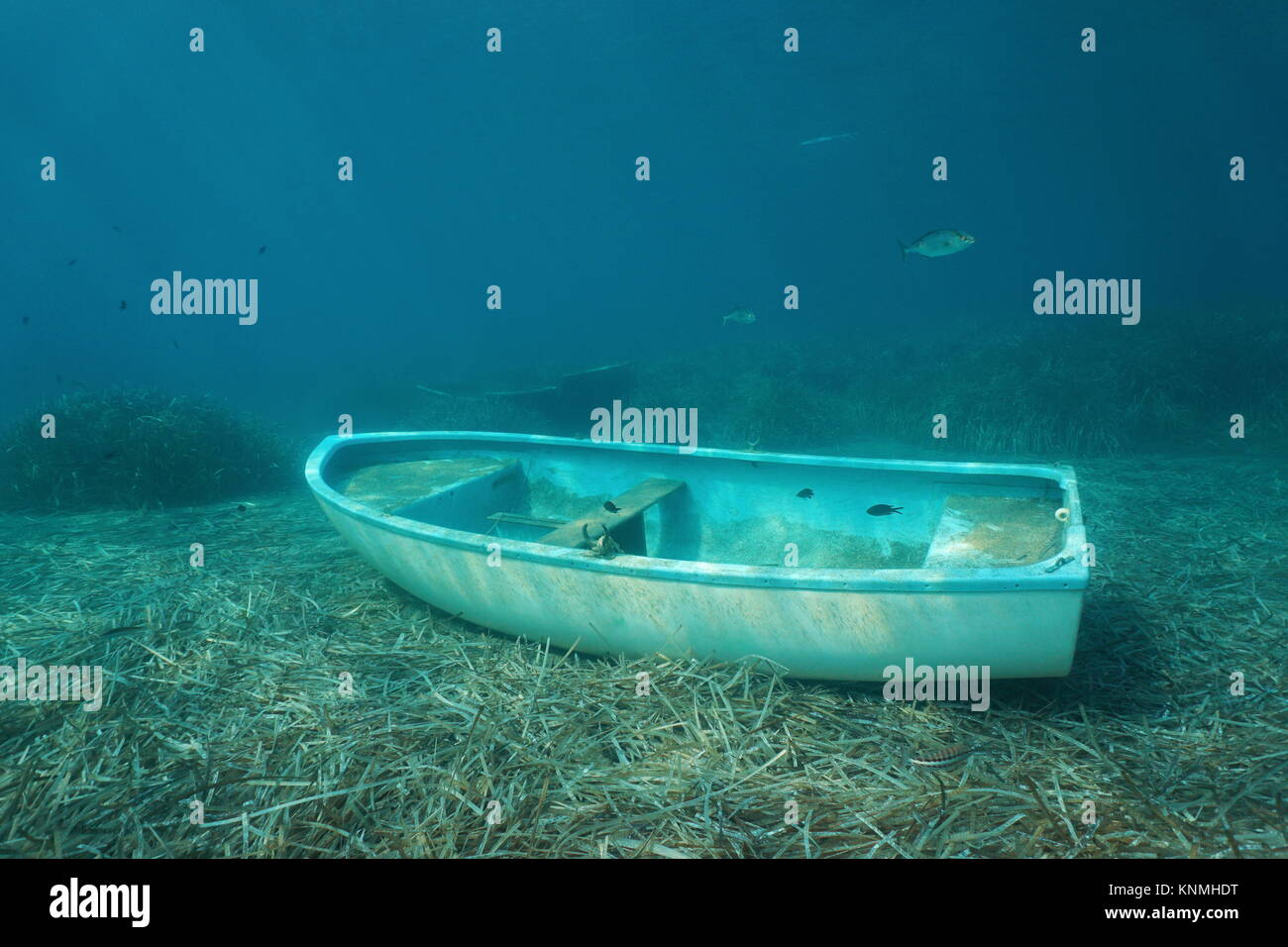 Underwater a small boat sunken on the seabed with leaves of Neptune grass and some fish, Mediterranean sea, Catalonia, Costa Brava, Spain Stock Photo