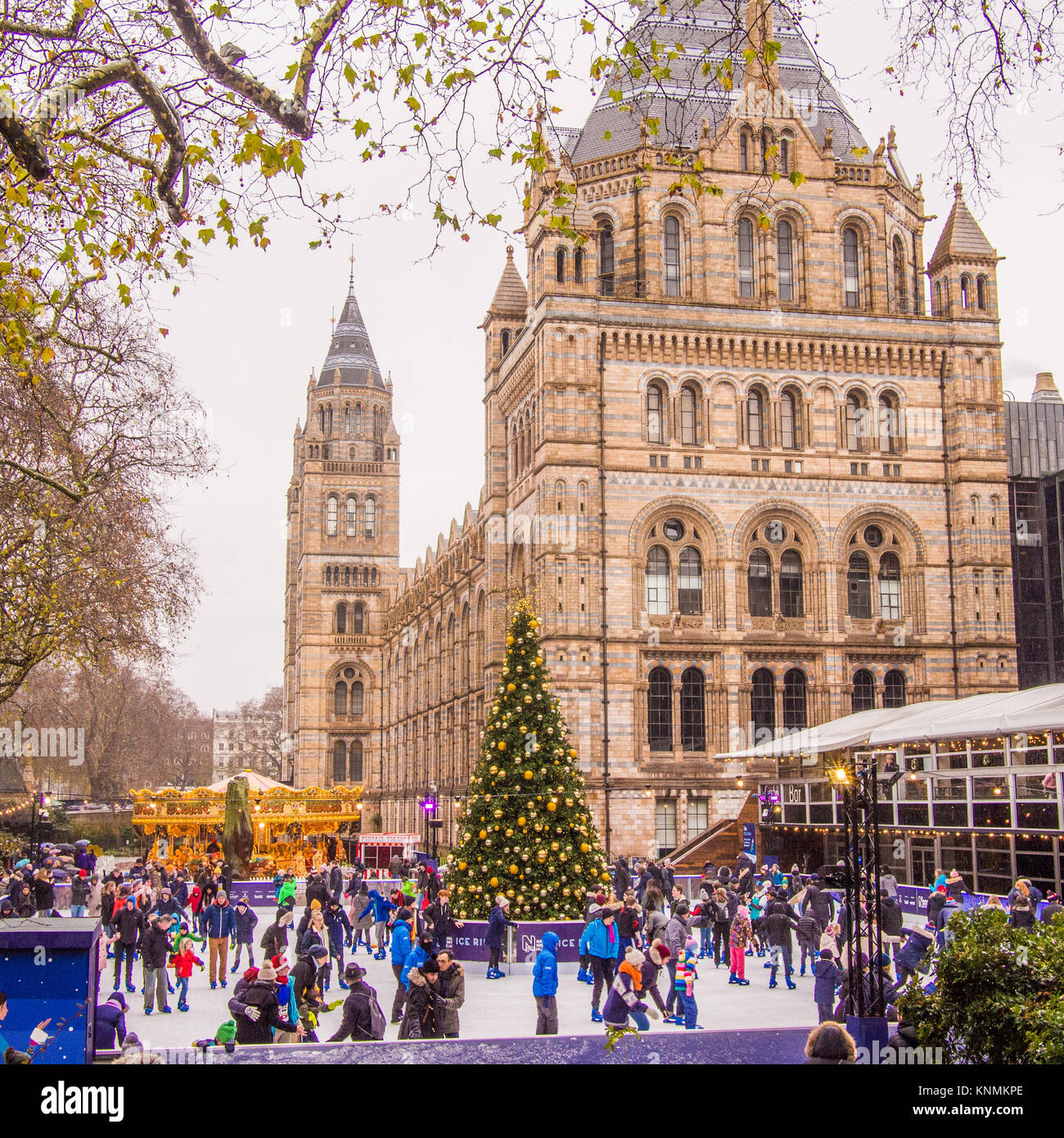 Festive fun at the National History Museum Ice Rink, London. Stock Photo
